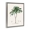 Stupell Industries Coastal Palms Vintage Floating Frame, design by Val Rhodes